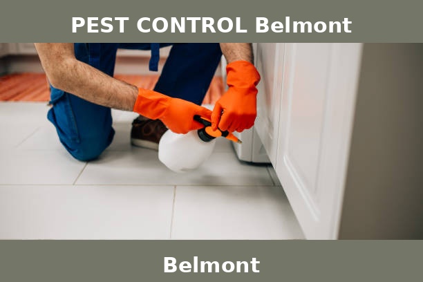 PEST CONTROL Belmont